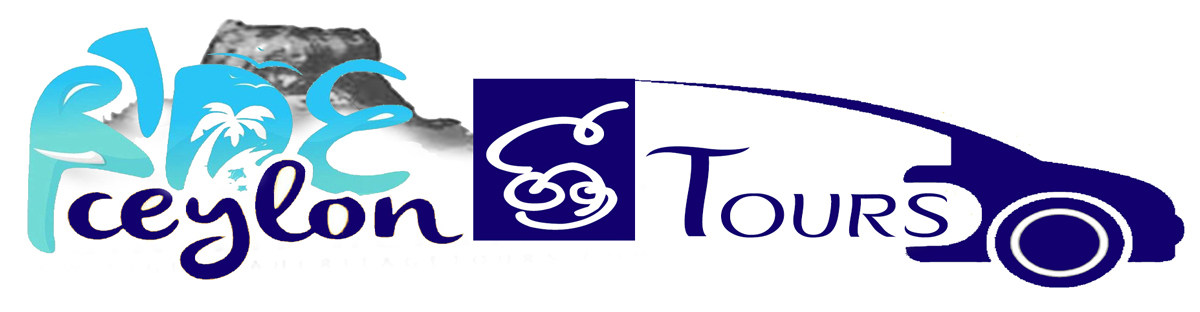 Visit Ceylon Sri Tours Website